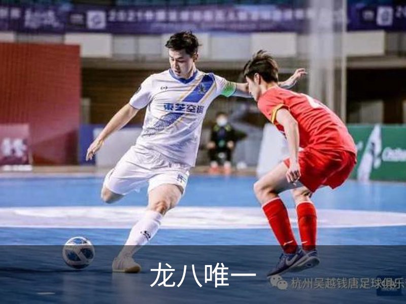 龙八唯一介绍